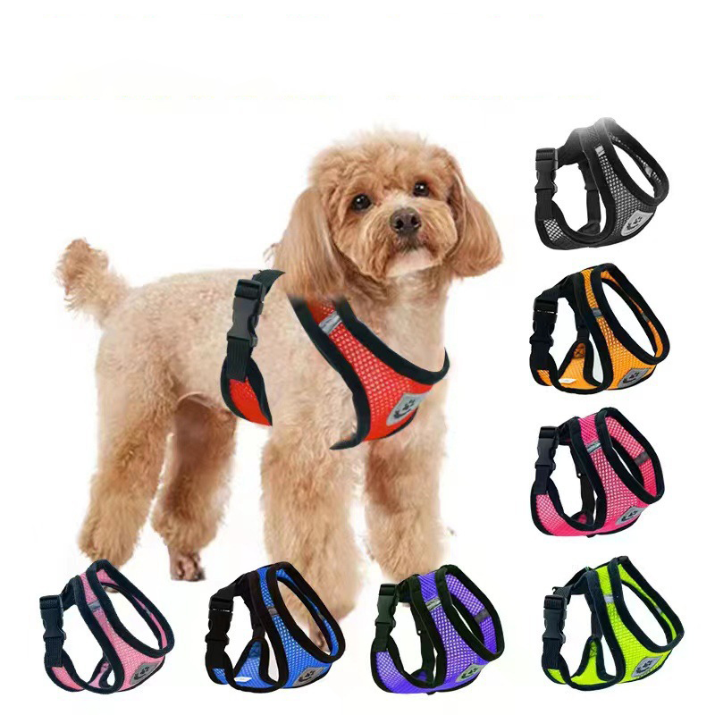 Hot summer small dog pet chest – обзор и цена Mini Trampoline Spring