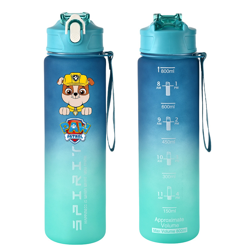 800ml PAW Patrol Sports Water  – обзор и цена Kids Outdoor Movies