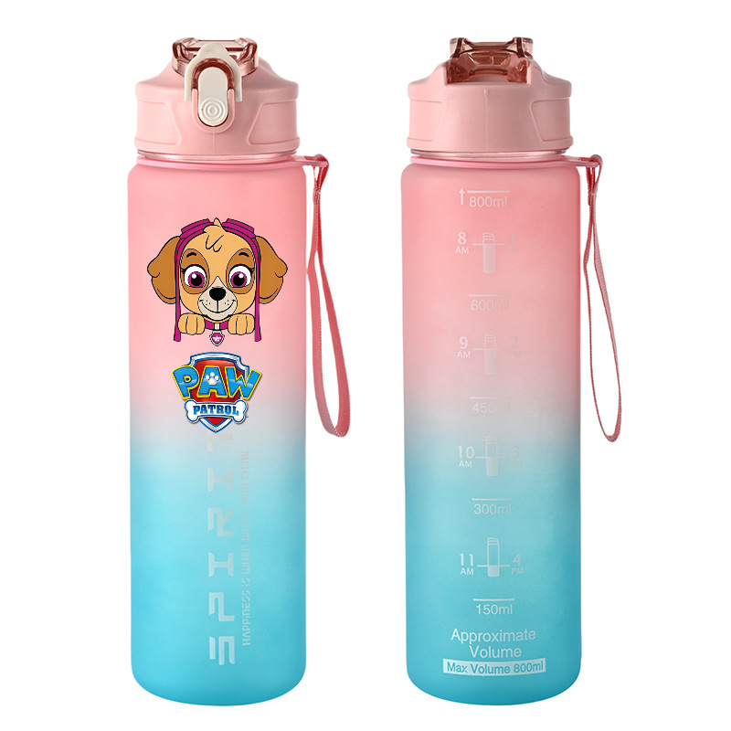 800ml PAW Patrol Sports Water  – обзор и цена Kids Outdoor Movies