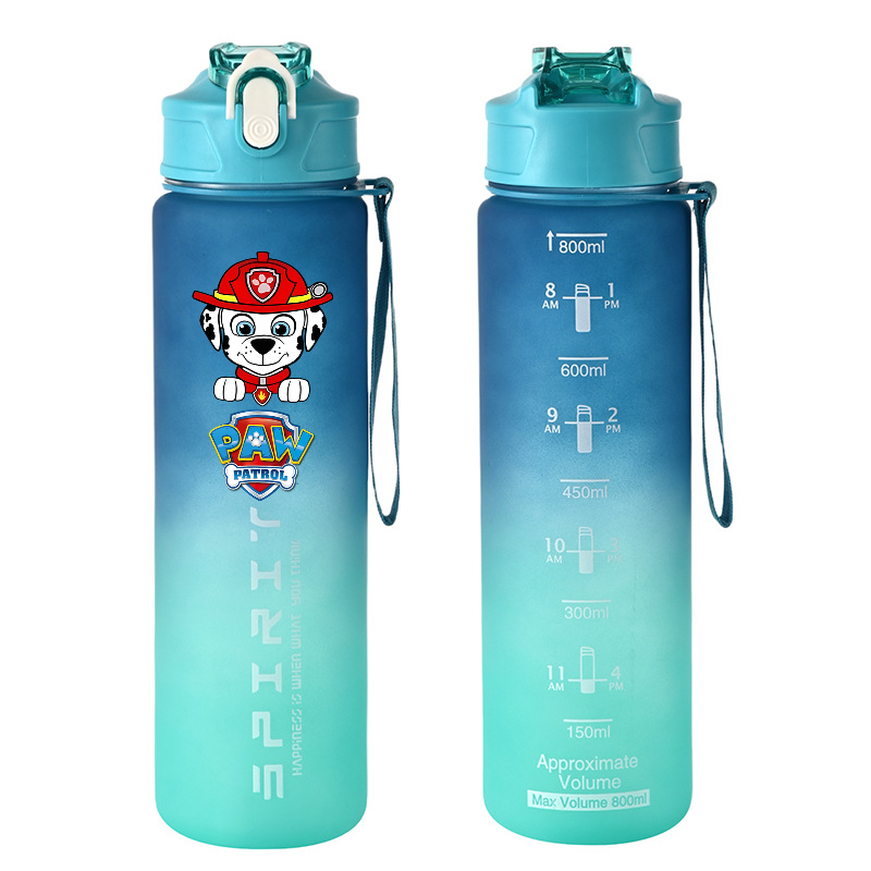 800ml PAW Patrol Sports Water  – обзор и цена Kids Outdoor Movies